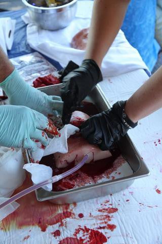Rescue Essentials Bleeding Control Instructors Kit in use for stop the bleed training